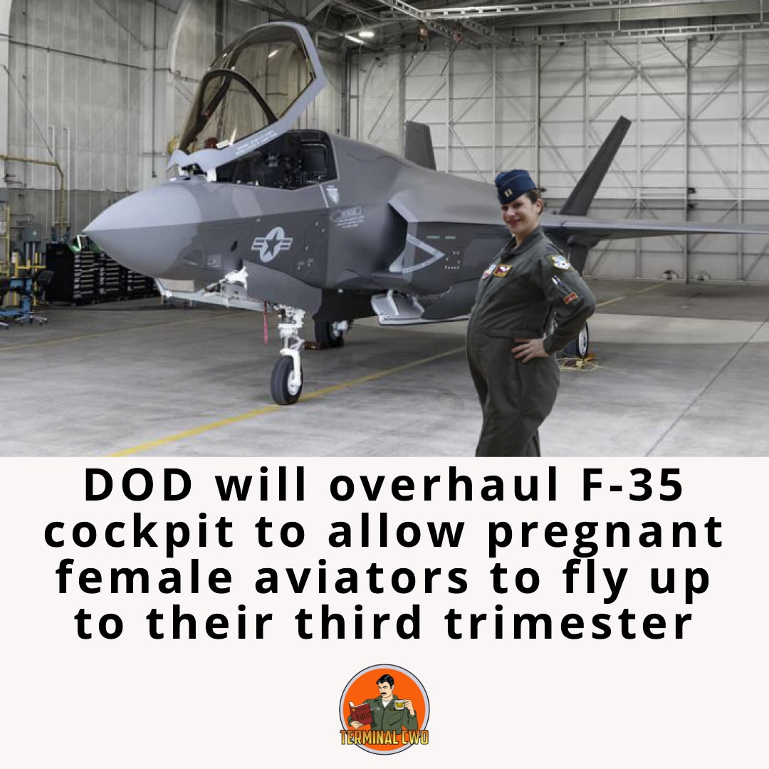 Pregnant Female Aviator 1